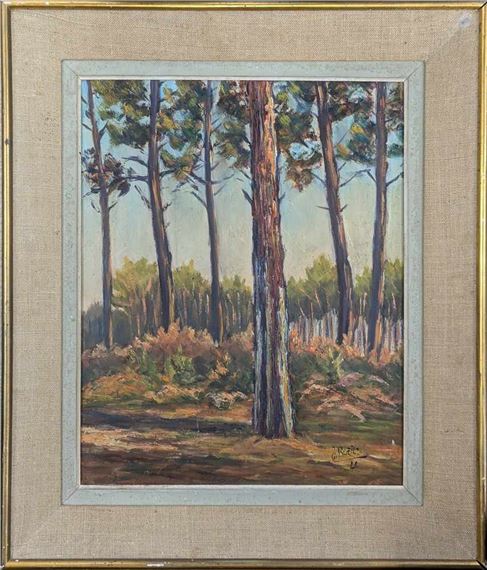 Sous-bois landais by Jacques Rozier