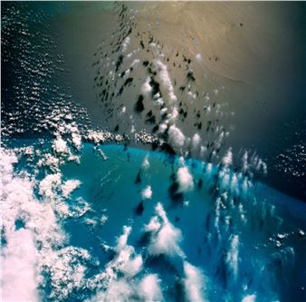 LARGE FORMAT - Jim McDivitt