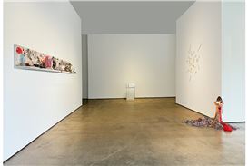 William Shearburn Gallery opens a solo exhibition by Tom Friedman