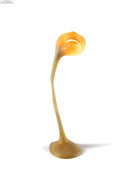 Lampe bouche - Alina Szapocznikow