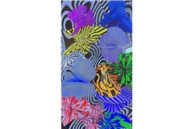 Denenberg Gallery Exhibits New Videos and Color Prints by Tony Gerber