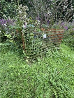 Permanently Temporary - Guy Robinson