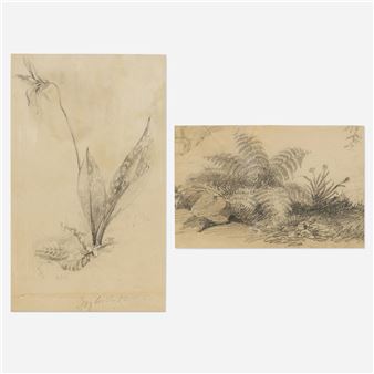 Dogtooth Violet; Fern Landscape (two works - Susan Frackelton