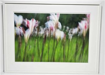 Le Jardin de Renoir - Cade Turner