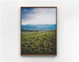 Elise Rasmussen: The beautiful - Night Gallery South