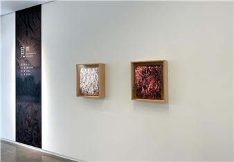 From Observation To Perception - Lin & Lin Gallery, Taipei