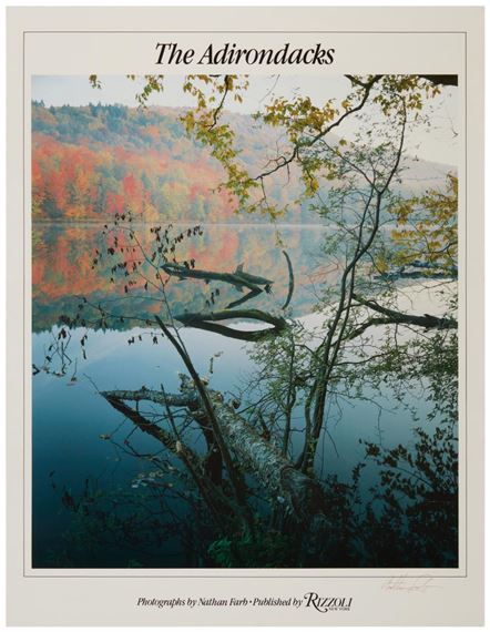 A poster celebrating publication of the artist's book - Nathan Farb