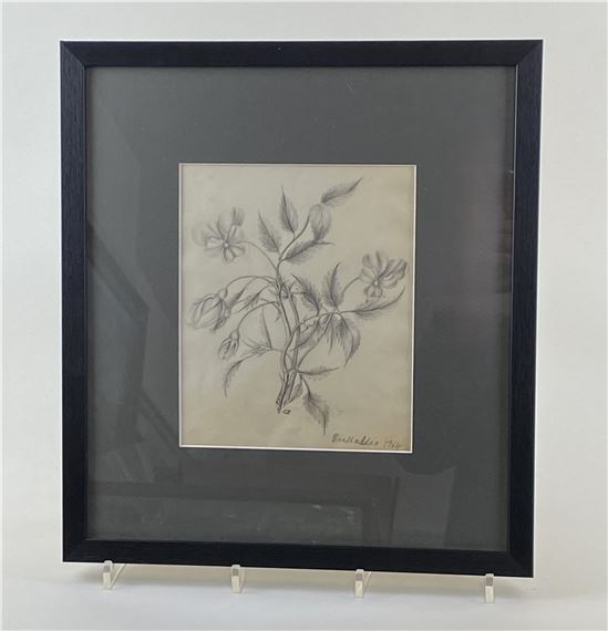 Elizabeth Blackadder | Flowering stems (1964) | MutualArt