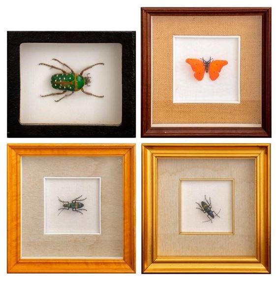 Vittorio Costantini | VENETIAN GLASS INSECTS & CRAB | MutualArt