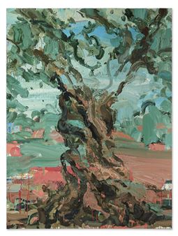 The Tree Within, A Palestinian Olive Tree - Tagreed Darghouth