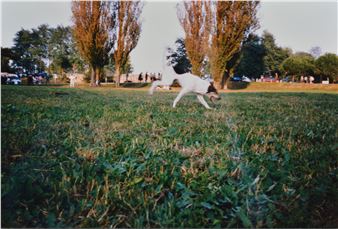 I RITORNI - Italo Zuffi