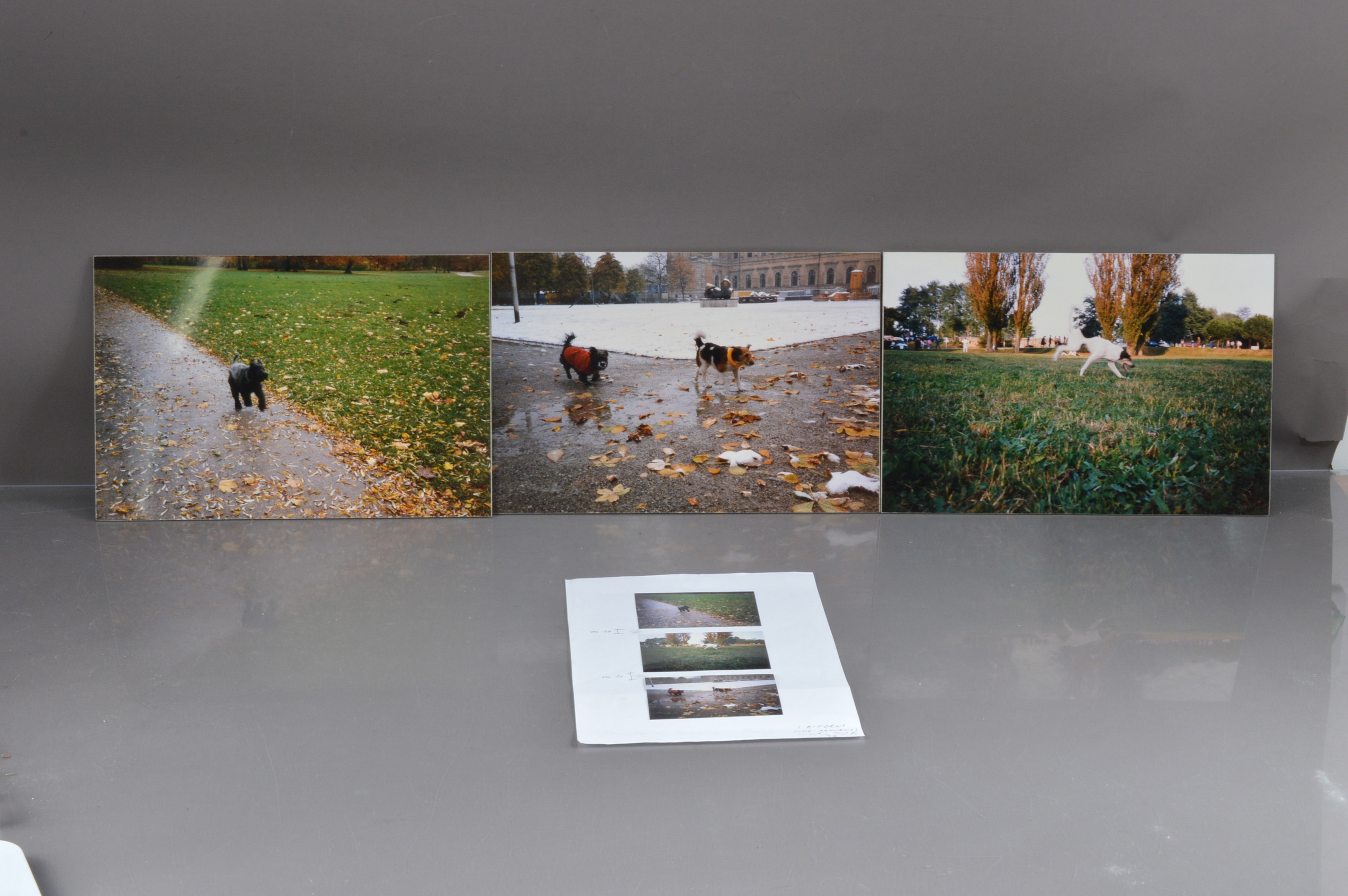 Artwork by Italo Zuffi, I RITORNI, Made of C-type prints