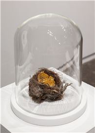 Iris Häussler at Daniel Faria Gallery