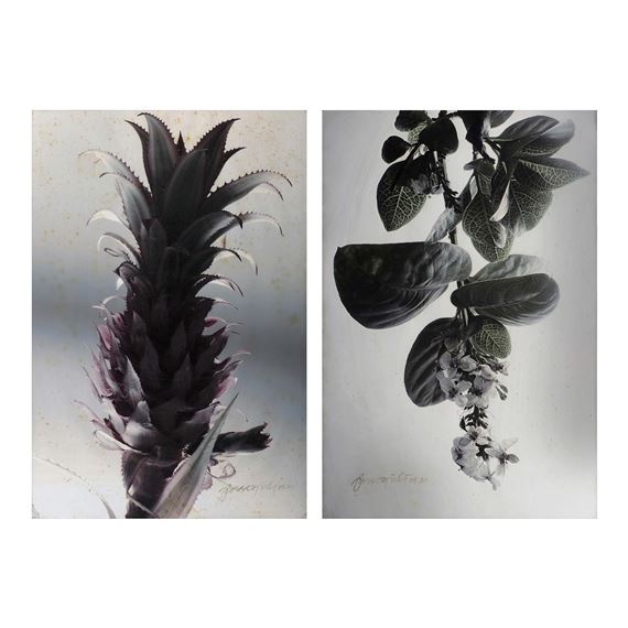 Ross Capili | a.) Untitled b.) Untitled (2005) | MutualArt