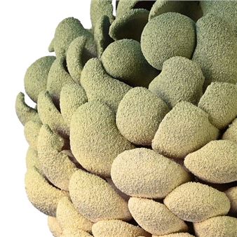 Toni Losey: Finding Now - Katzman Art Projects