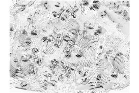 Frye Art Museum opens 'Boren Banner Series: Natalie Krick'