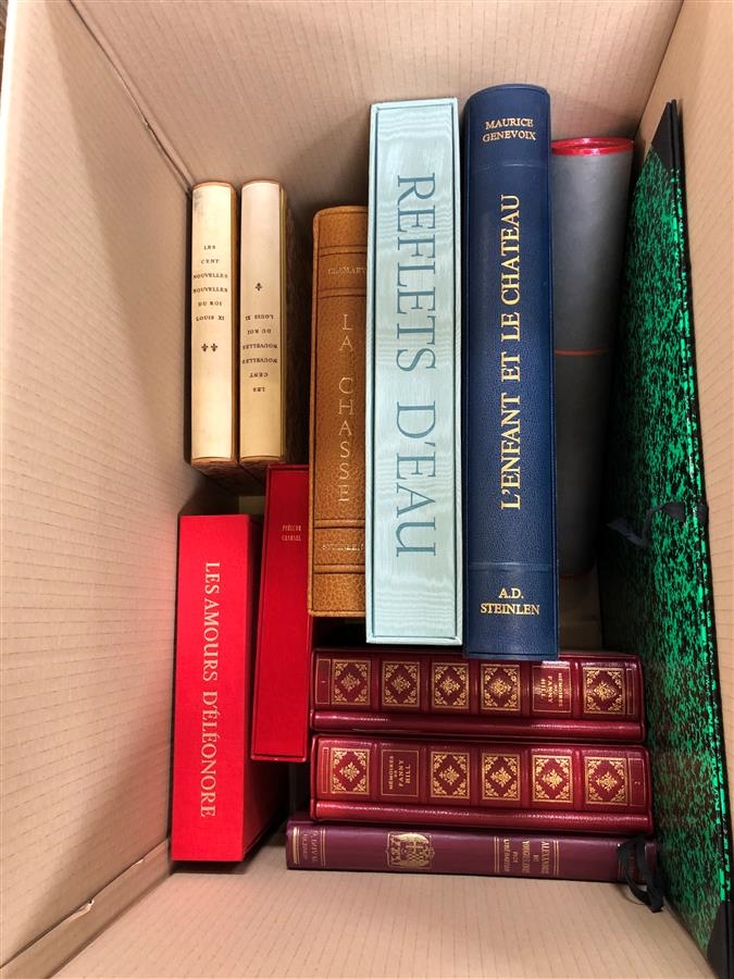 Artwork by Fanny Hill, Ensemble de LIVRES, dont : "L'Enfant et le château" ; "Reflets d'eau" ; "La Chasse