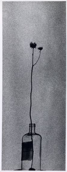 Sam Haskins | Cowboy Kate (1963) | MutualArt
