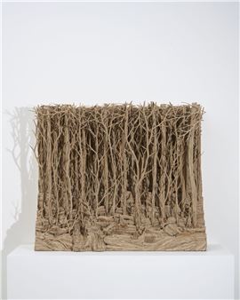 Eva Jospin: Vanishing Points - Mariane Ibrahim, Chicago