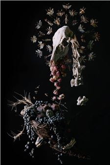 Tara Sellios: Ask Now the Beasts - Fitchburg Art Museum