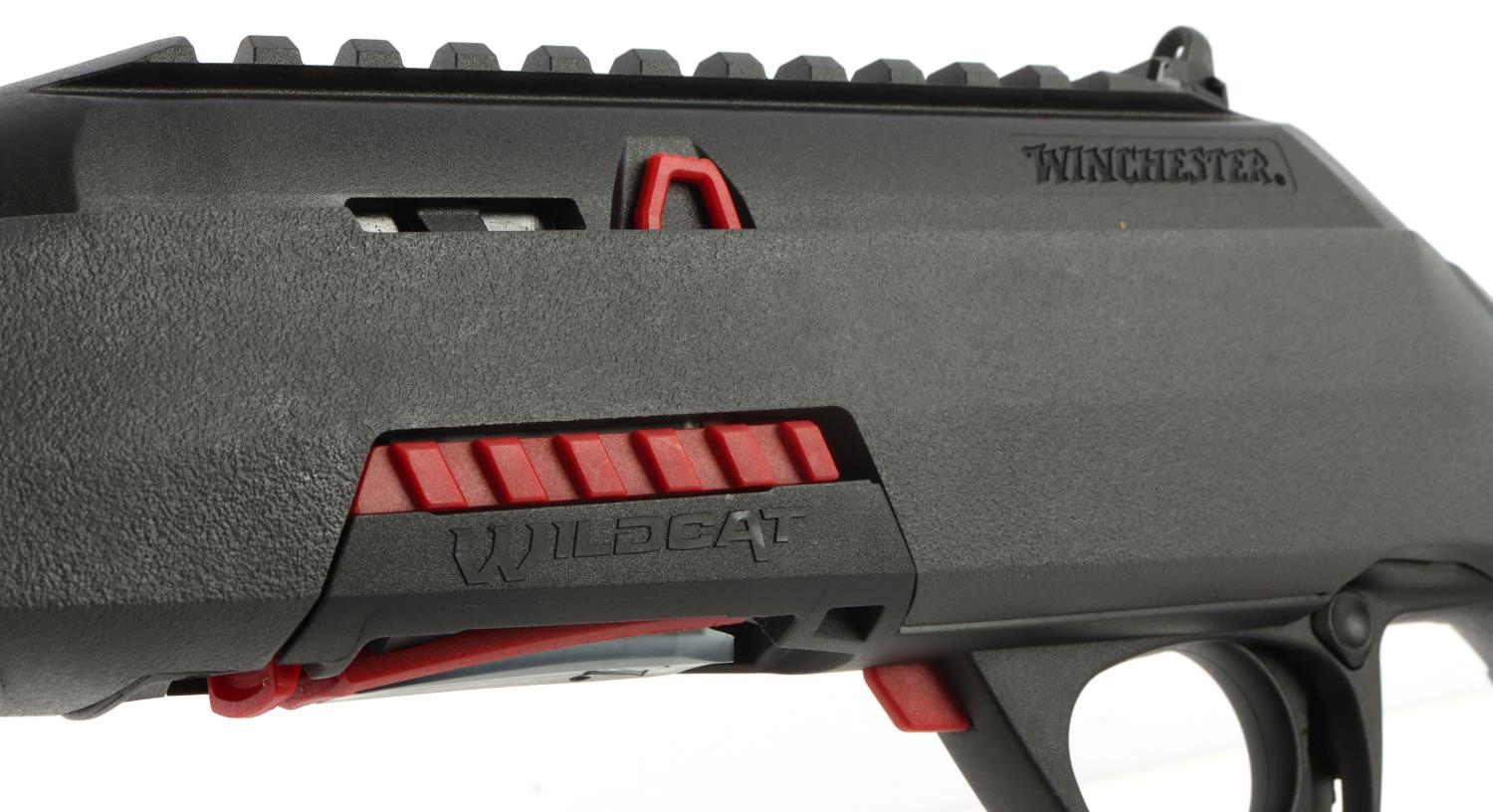 Winchester WINCHESTER WILDCAT 22 SR SEMI AUTO RIFLE MutualArt