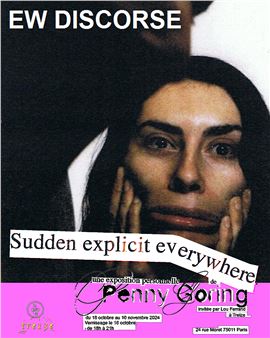 Penny Goring: Sudden Explicit Everywhere - Treize