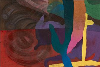 Kaveri Raina: reflection as a witness - Casey Kaplan