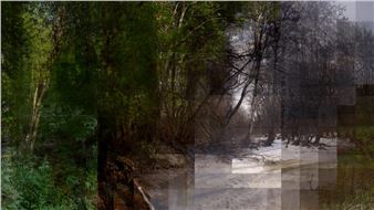 Jussi Matilainen: Pajukarit - Galleria Huuto