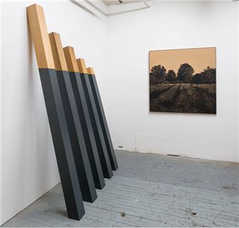 Mathieu Gaudet & Joe Lima: Paysages improbables: Unexpected Horizons - Galerie Roger Bellemare