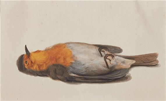 Four perished Singing Birds - Rochus van Veen