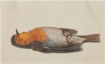 Four perished Singing Birds - Rochus van Veen