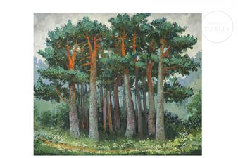 Grove - Juris Bindemanis