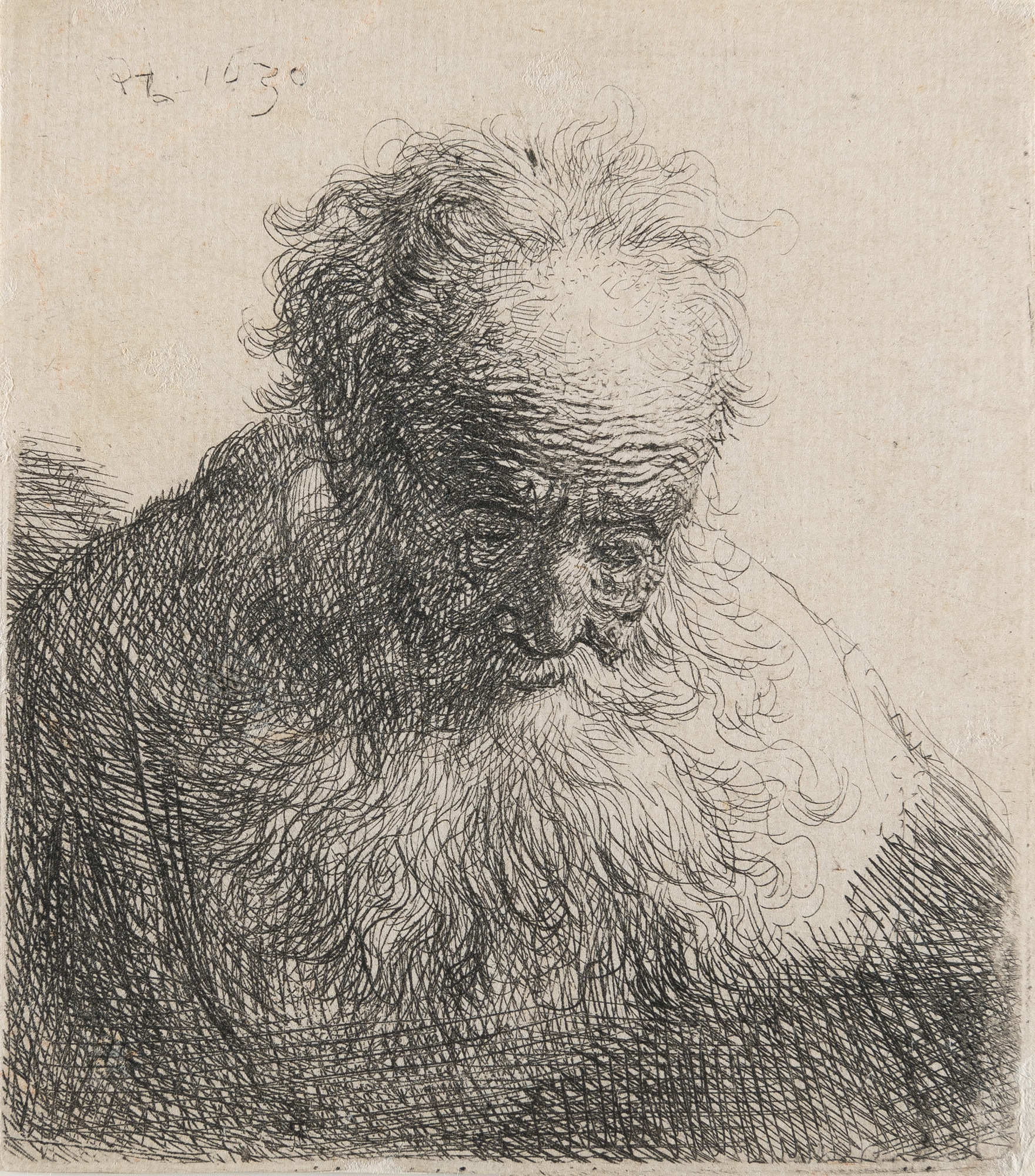 Rembrandt van Rijn | Bust of an old Man with a flowing Beard, the Head ...