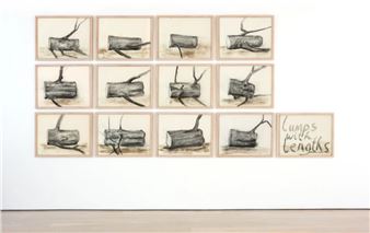 David Nash: 45 Years of Drawing - Annely Juda Fine Art