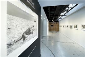 Houston Center for Photography Dedicates Gallery to Local Photographers; Seeks Exhibition Proposals
