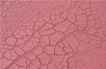 São Paulo Biennial Hosts Historic First Exhibition in Angola