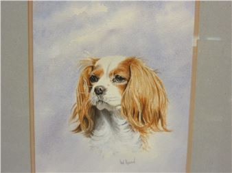 IAN HUDSON:  of a King Charles Spaniel - Ian Hudson