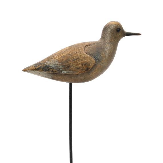 Plover by John Dilley