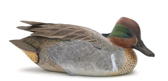 Green wing teal - Jim Sprankle