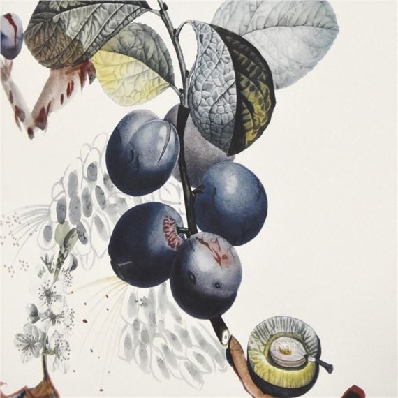 Salvador Dalí | Running Prunes with Snail | MutualArt