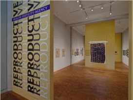 An Exhibition on Reproductive Health Raises Urgent Questions—And the Spectre of Self-Censorship