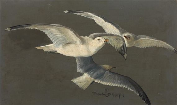 Flying seagulls by Niels Peter Rasmussen, mai 1904