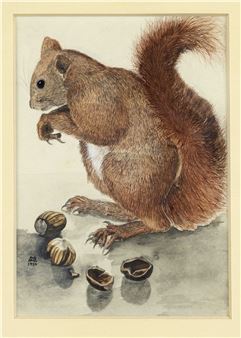 Folge von vier Aquarellen mit versch. Tier- und Pflanzenmotiven - Heinz Mahnke