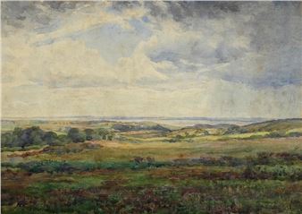 Strangford Lough from the Lead Mines - David Gould