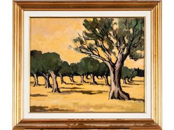 Oliviers aux Barroux (Vaucluse) - Raymond Vernet