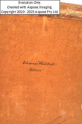 Artwork by Johannes Wohlfahrt, (Graz 1900 - 1975, Ausbildung an der Kunstgewerbeschule Graz wiener Akademie, Mitglied der Vereinigung bildender Künstler Steiermarks) rückseitig betitelt "Bildnis", handsigniert Wohlfahrt, Öl auf Karton, Bildausschnitt 43,5 x 34,5 cm, gerahmt, krakeliert, Made of oil on cardboard