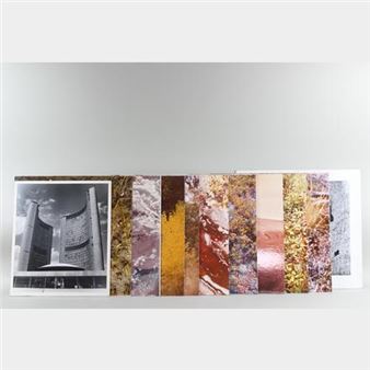 Large Nature & Double Exposure Photographs - Roman Zabinski