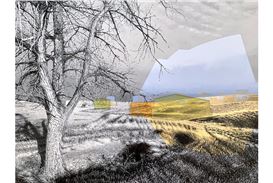 NEXUS 2.0.1: Contemporary Landscape Paintings by Paul Paiement opens at Ethan Cohen Gallery
