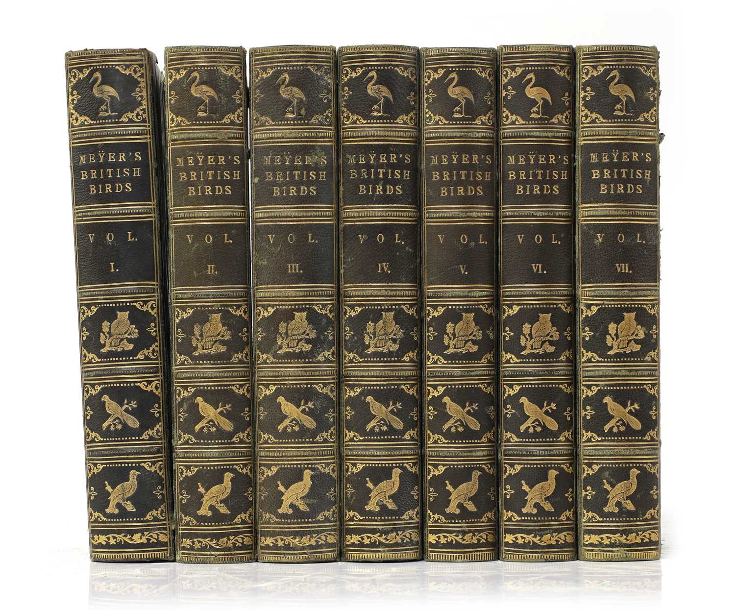 Artwork by H. L. Meyer, Meyer, Made of Coloured Illustrations