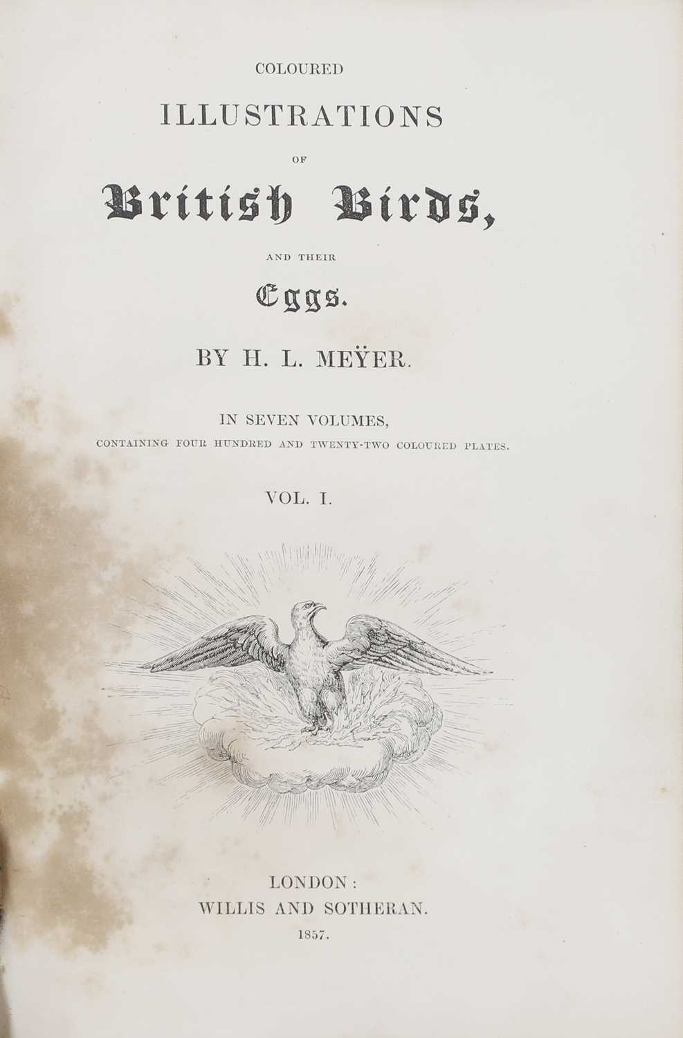 Artwork by H. L. Meyer, Meyer, Made of Coloured Illustrations